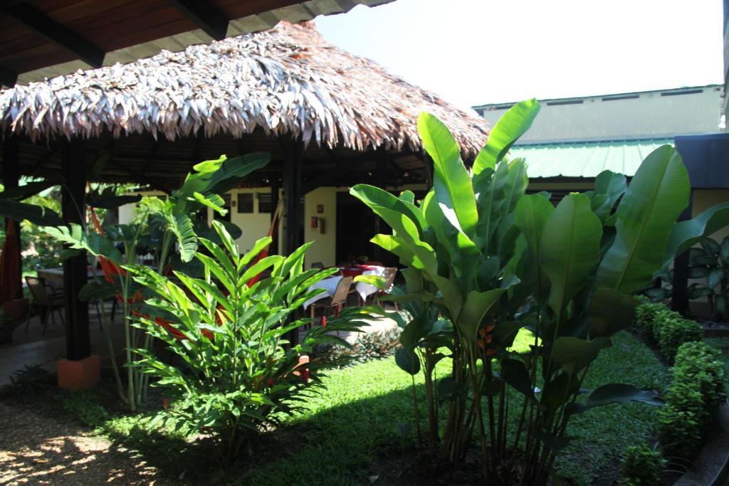 Hotel Amazon Bed And Breakfast Leticia Exterior photo