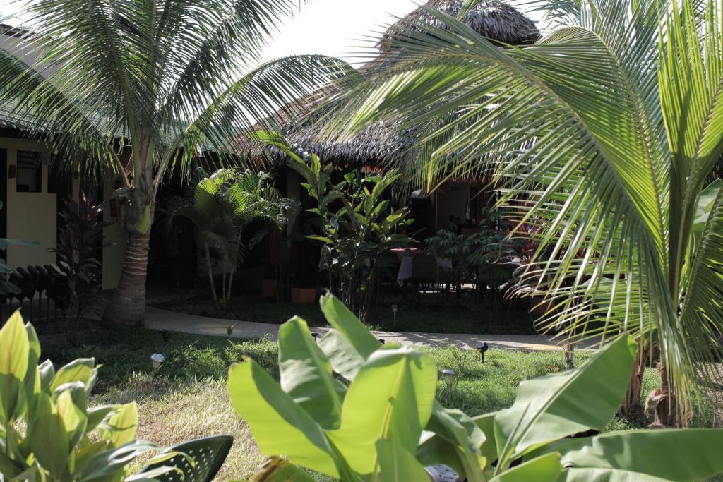Hotel Amazon Bed And Breakfast Leticia Exterior photo